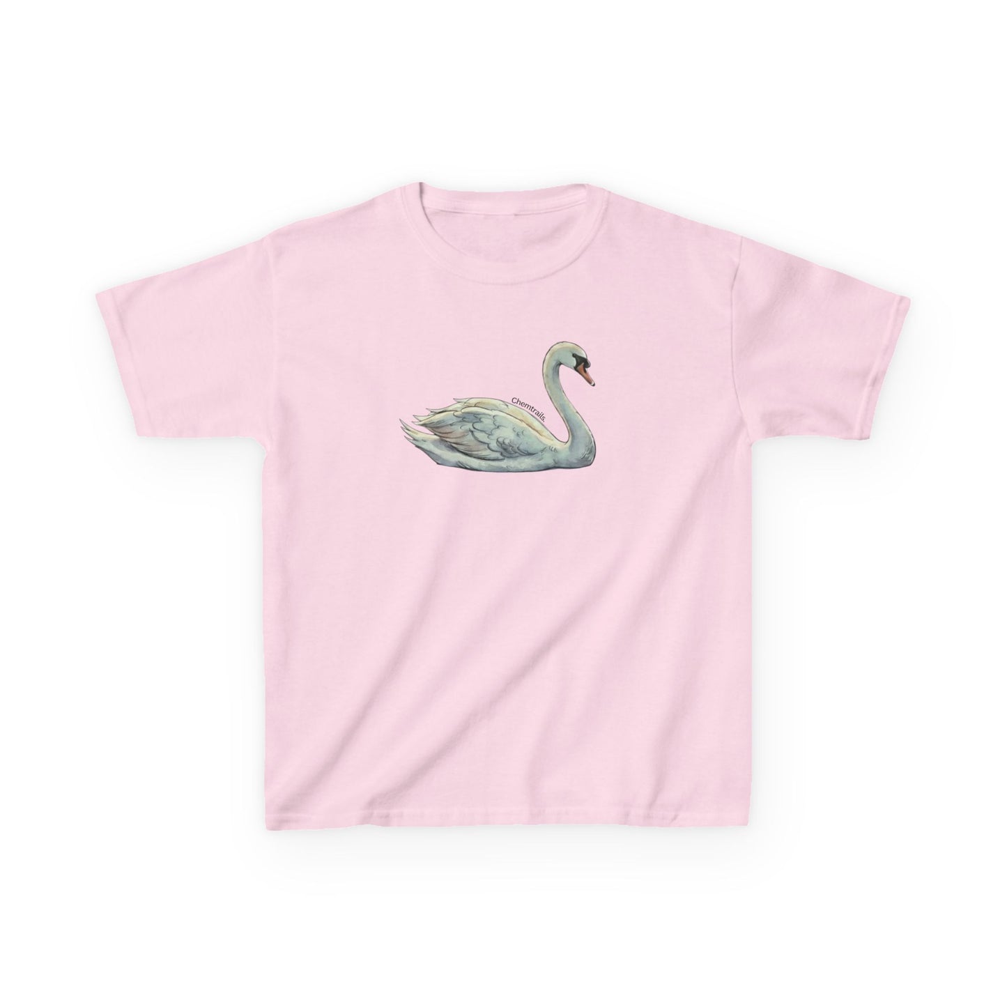The Swan