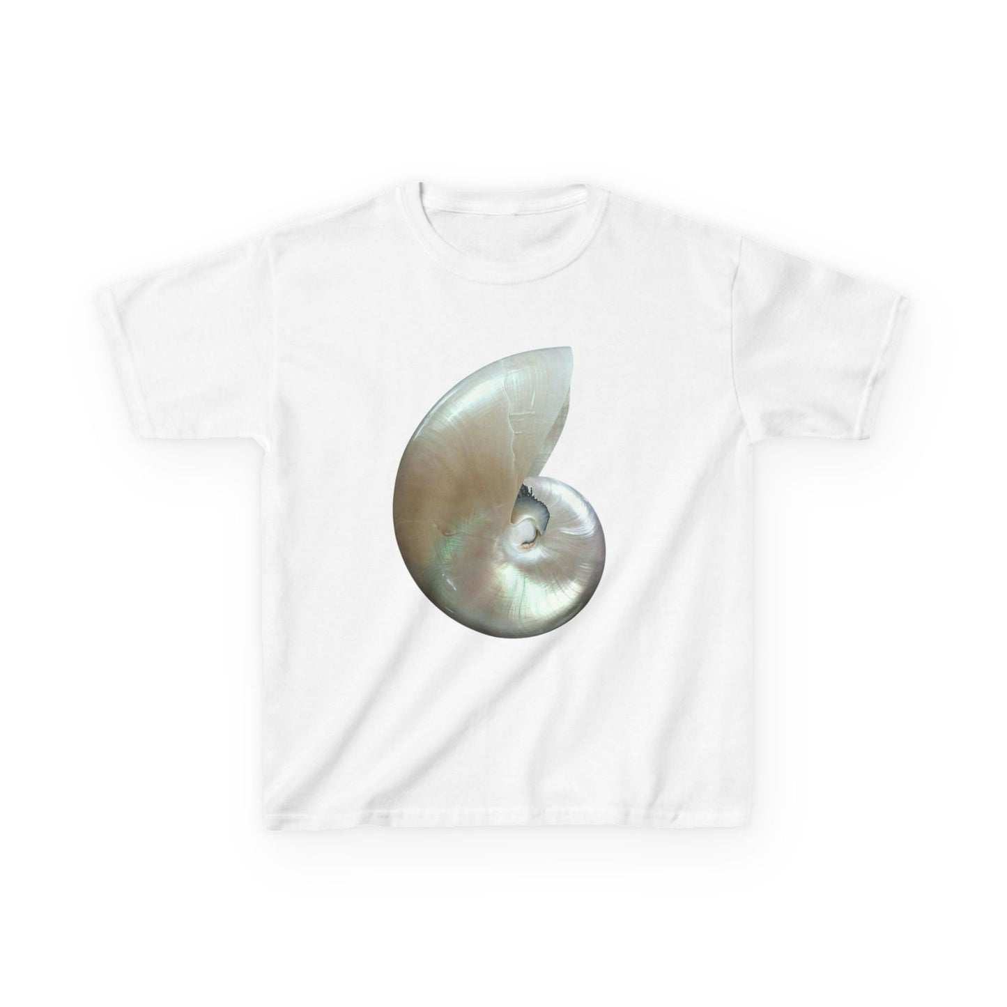 Iridescent Shell