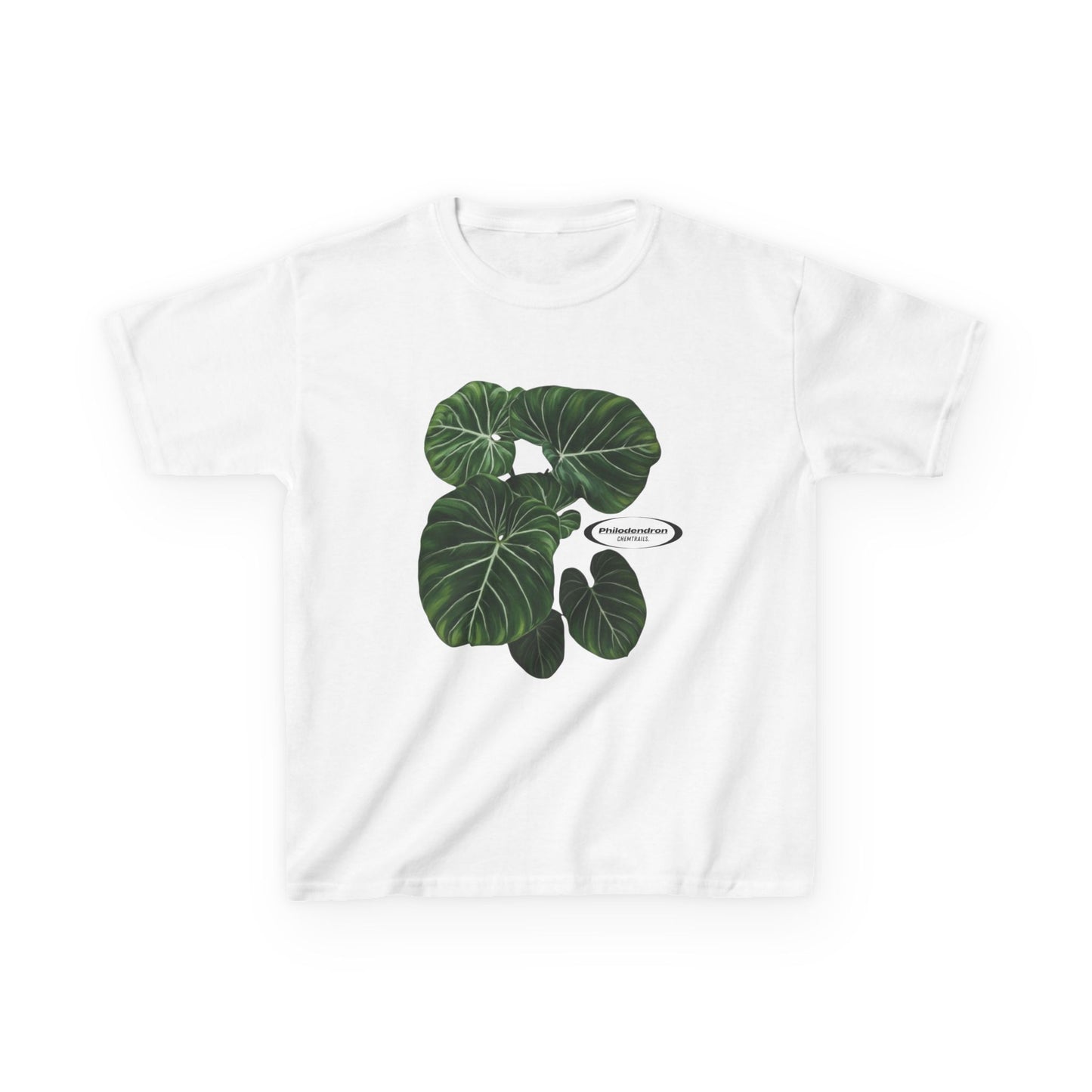 Philodendron