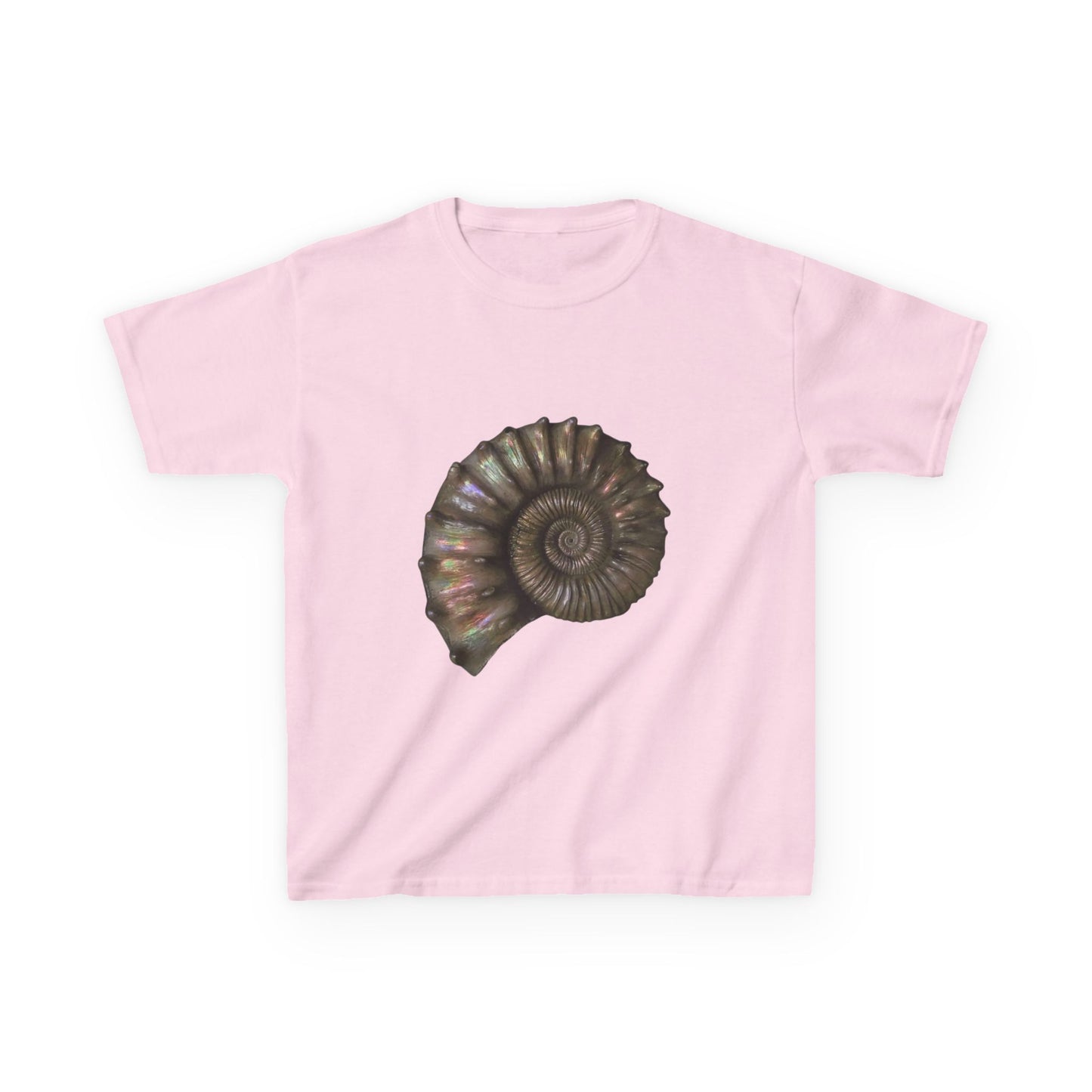 Spiraling Shell