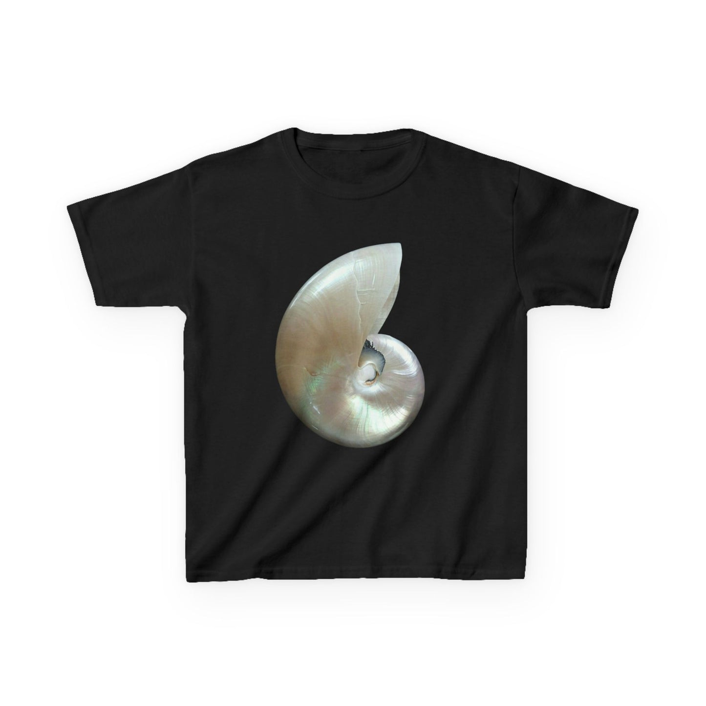 Iridescent Shell