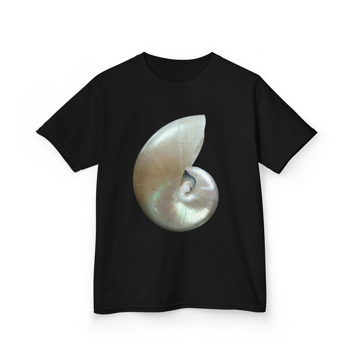 Iridescent Shell