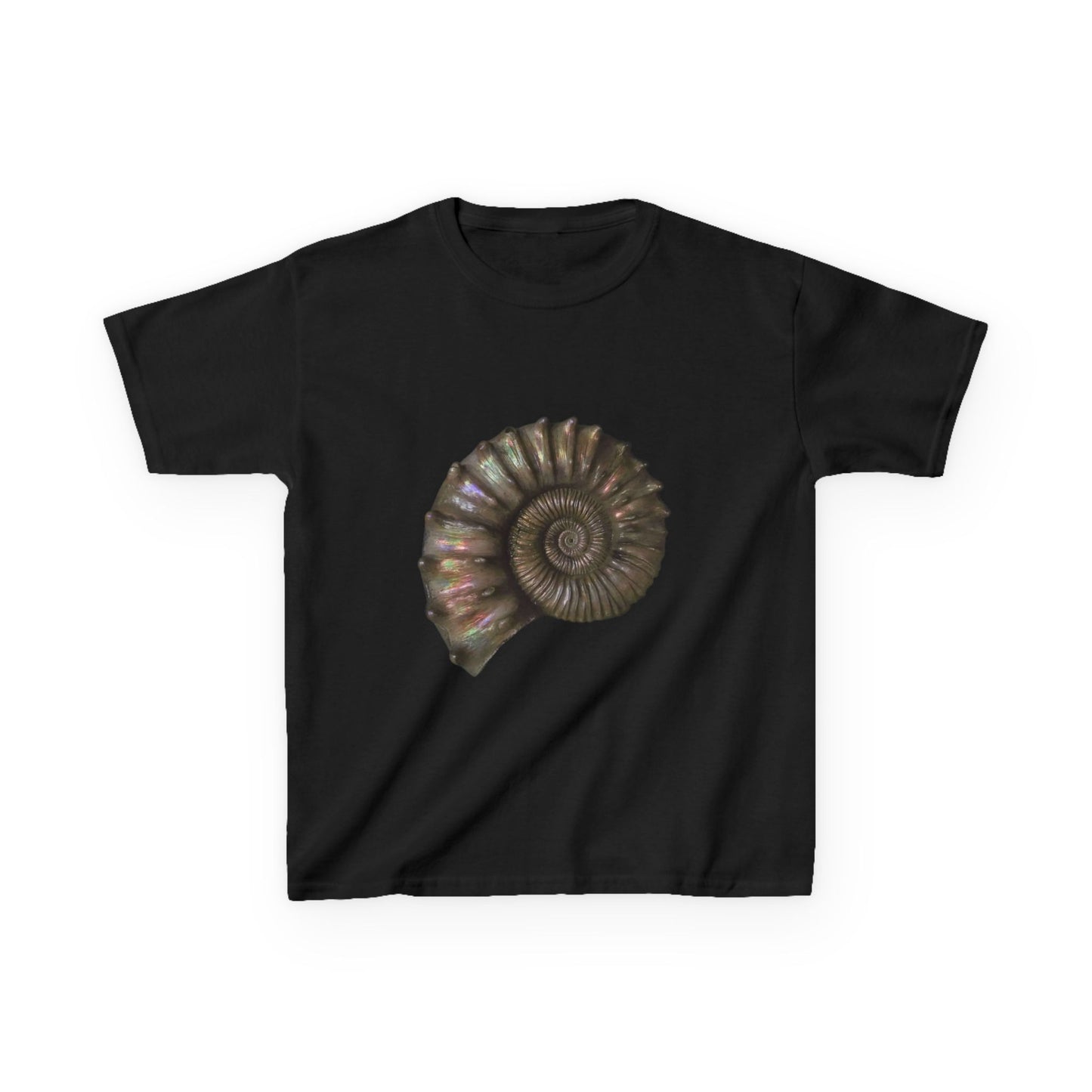 Spiraling Shell