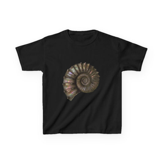 Spiraling Shell