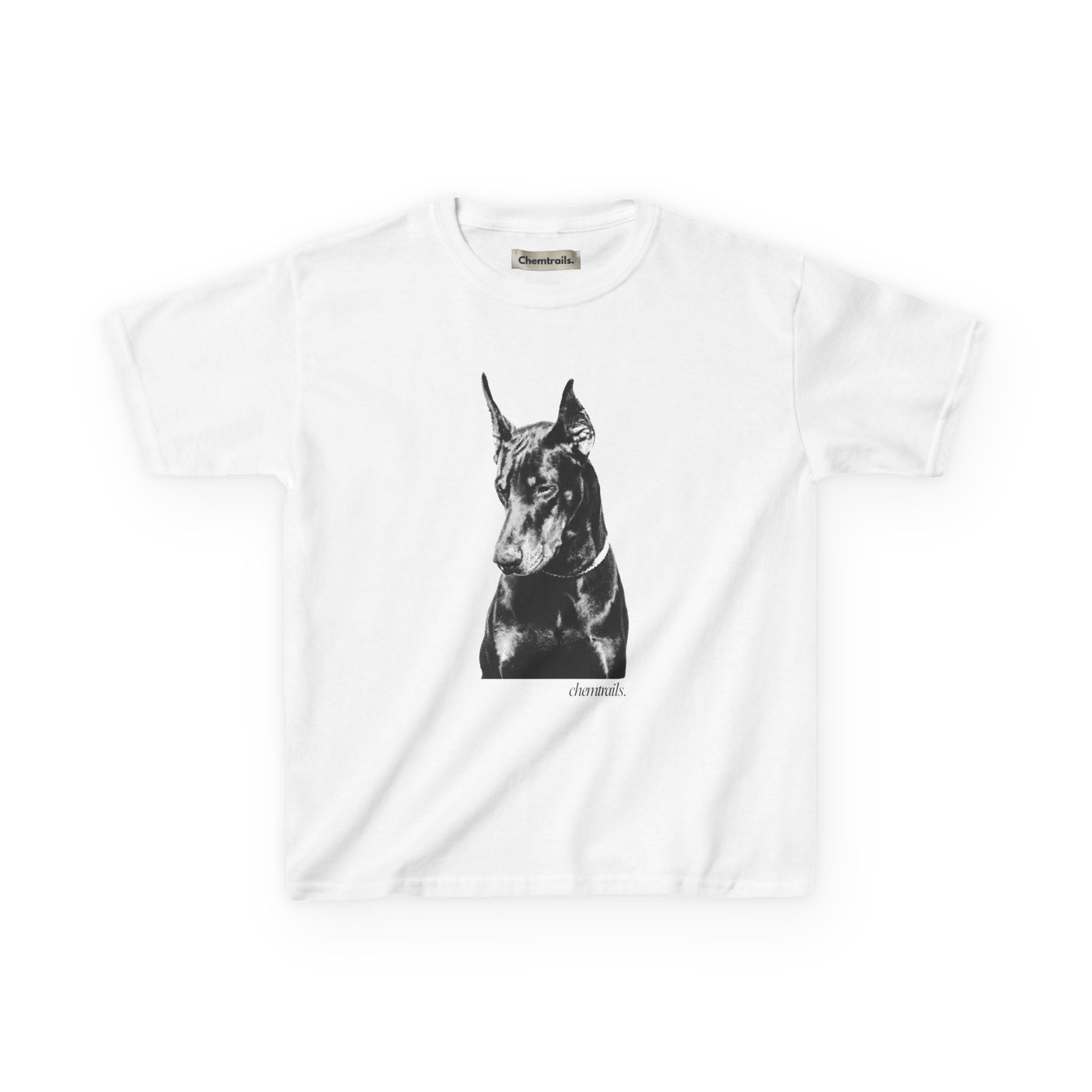 Greyhound