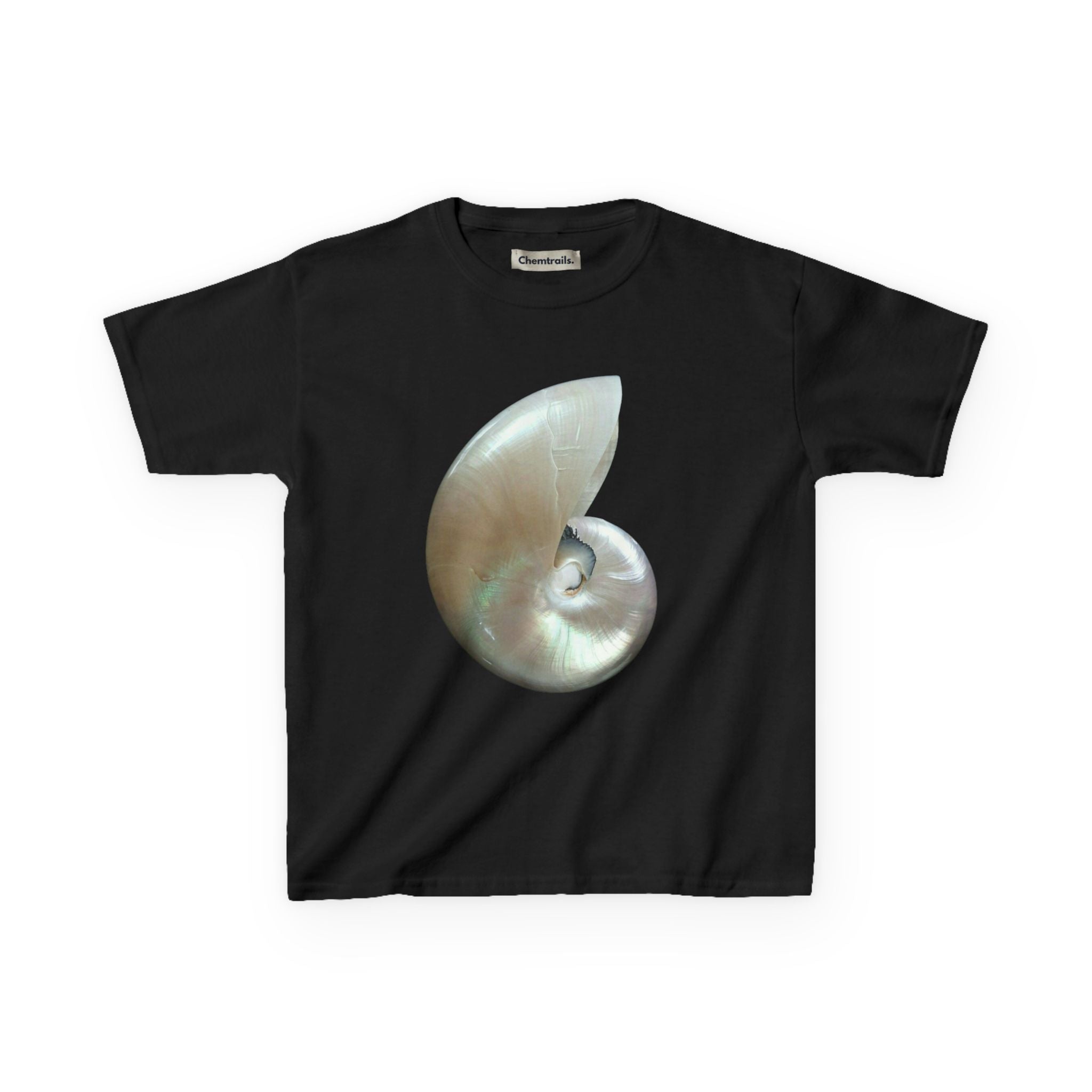 Iridescent Shell