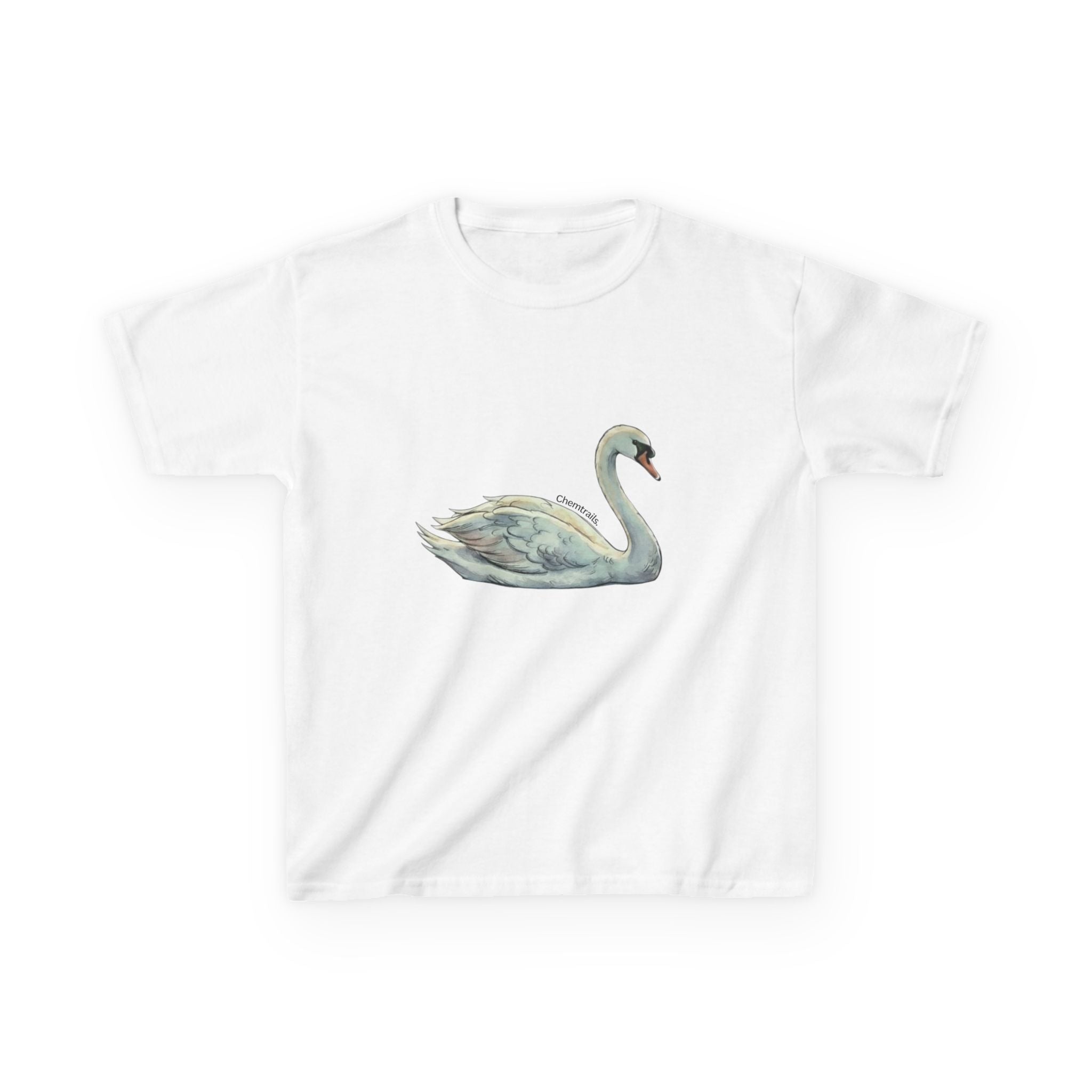 The Swan