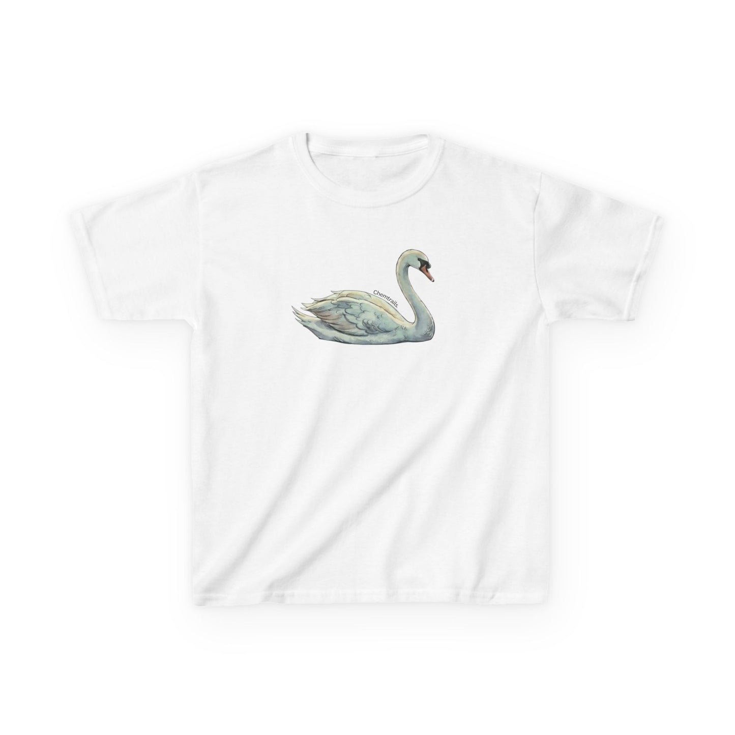 The Swan