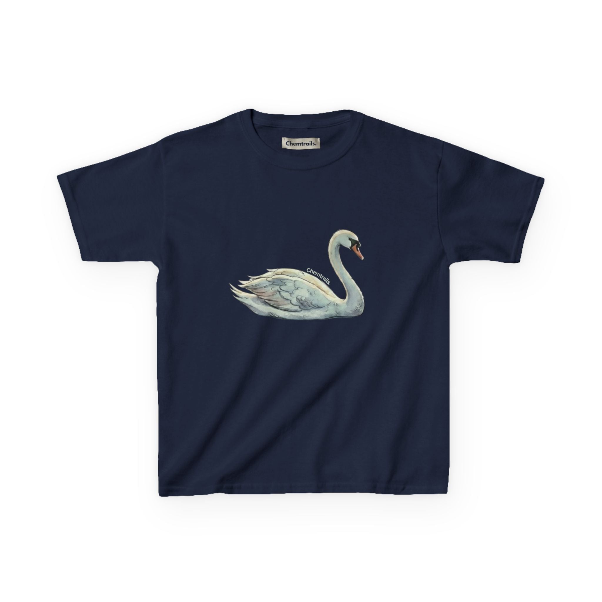 The Swan