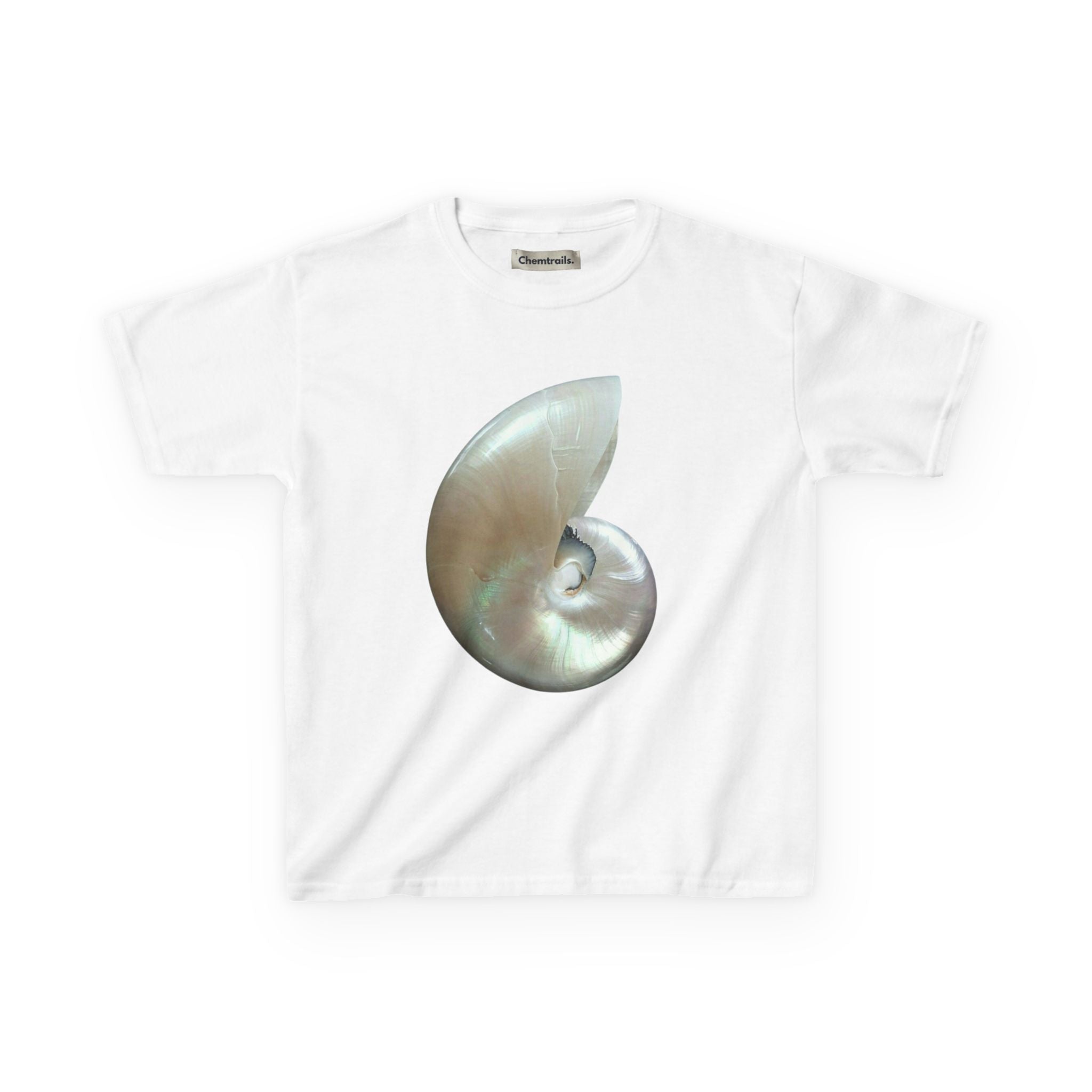 Iridescent Shell