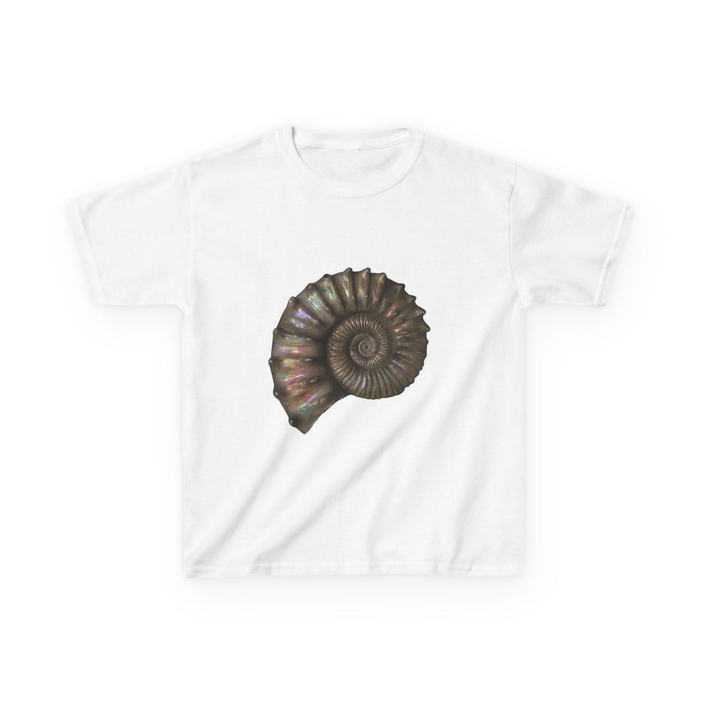 Spiraling Shell