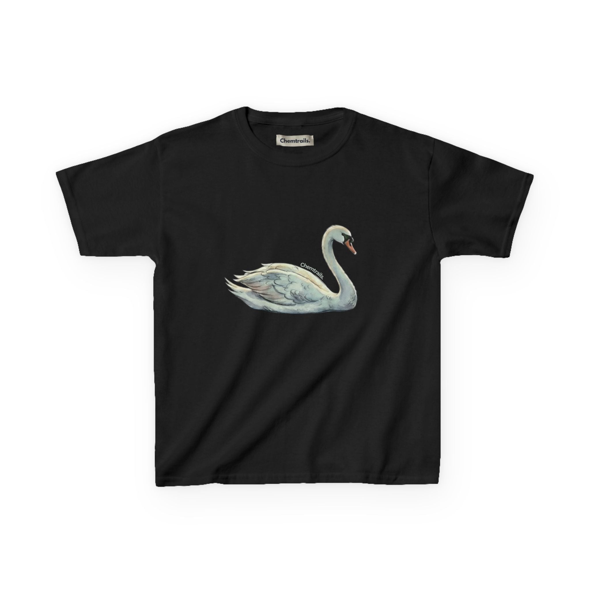 The Swan