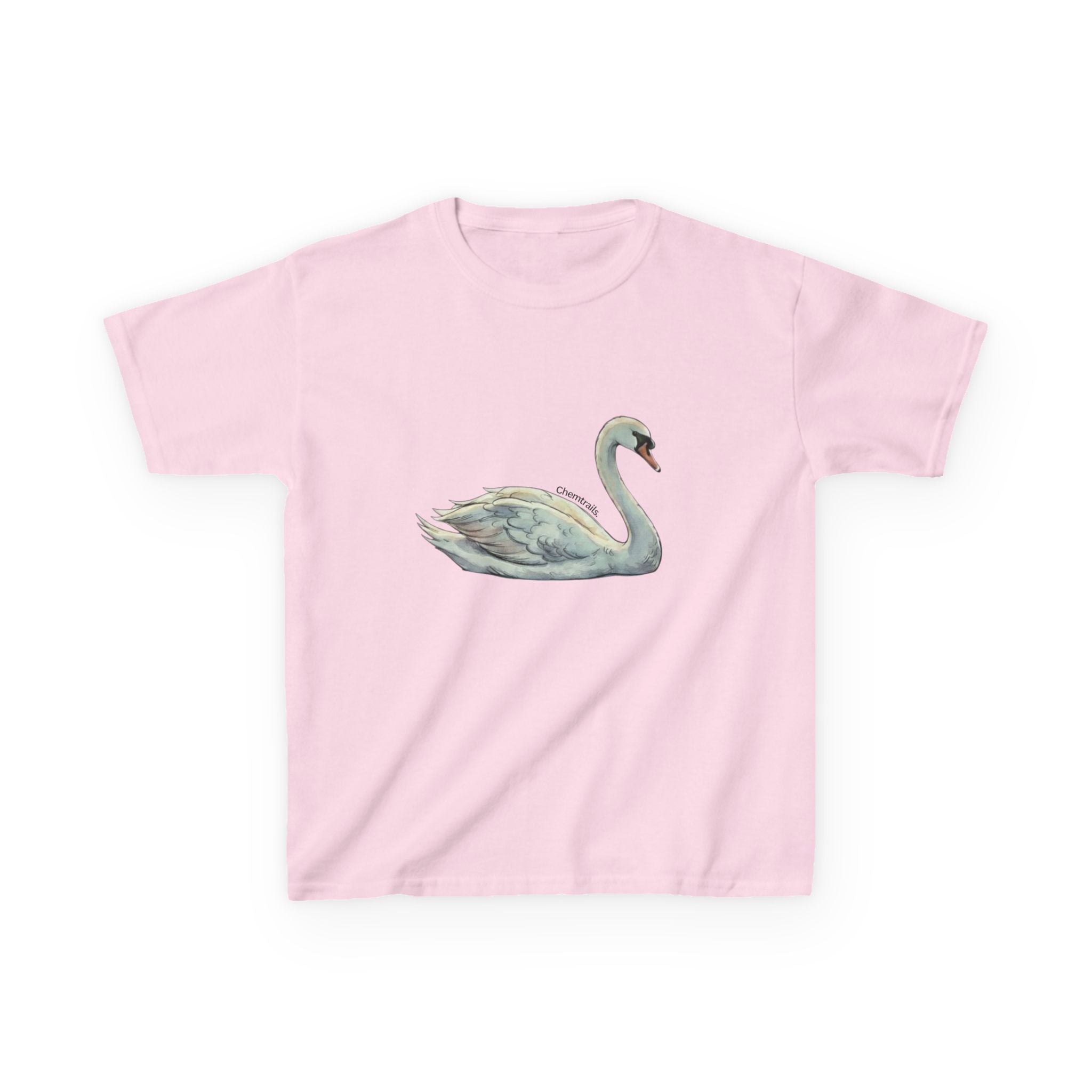 The Swan