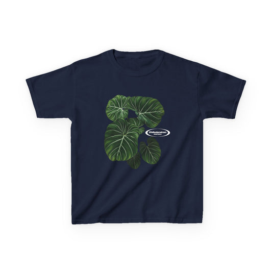 Philodendron
