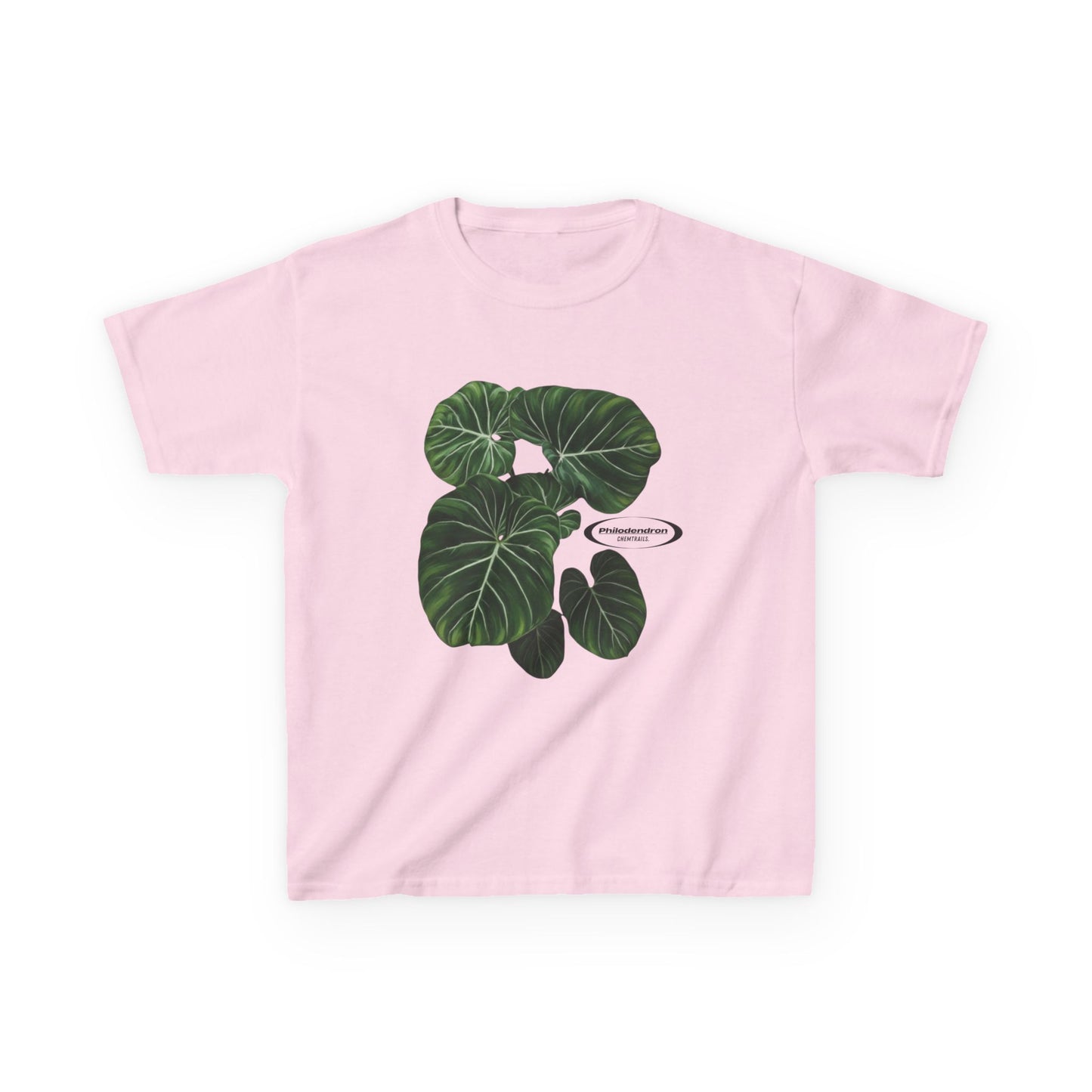 Philodendron